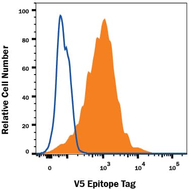 HEK293 human embryonic kidney cell line transfected withV5-tagged proteins was stained with Rabbit Anti-V5 Epitope Tag MonoclonalAntibody (Catalog # MAB8926,filled histogram) or isotype control antibody (Catalog # AB-105-C),open histogram), followed by Allophycocyanin-conjugated Anti-Rabbit IgGSecondary Antibody (Catalog # F0111) at 10  μL/106 cells.  