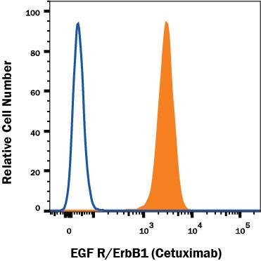 A431 human epithelial carcinoma cell line was stained with Human Anti-Human EGF R/ErbB1 (Cetuximab) Monoclonal Antibody (Catalog # MAB9577, filled histogram) or irrelevant antibody (open histogram) followed by CFS-conjugated Rabbit Anti-Human IgG Secondary Antibody (Catalog #F0158). View our protocol for Staining Membrane-associated Proteins.