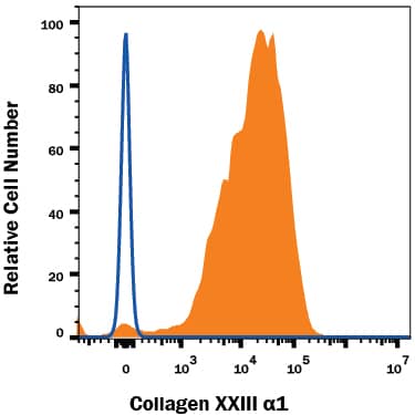 NS0 mouse myeloma cell line transfected with human Collagen XXIII a1 was stained with Sheep Anti-Human Collagen XXIII a1 Alexa Fluor® 647-conjugated Antigen Affinity-purified Polyclonal Antibody (Catalog # IC4165R, filled histogram) or Sheep IgG Alexa Fluor® 647-conjugated Isotype Control Antibody (Catalog # IC016R, open histogram). To facilitate intracellular staining, cells were fixed and permeabilized with FlowX FoxP3 Fixation & Permeabilization Buffer Kit (Catalog # FC012). View our protocol for Staining Intracellular Molecules.