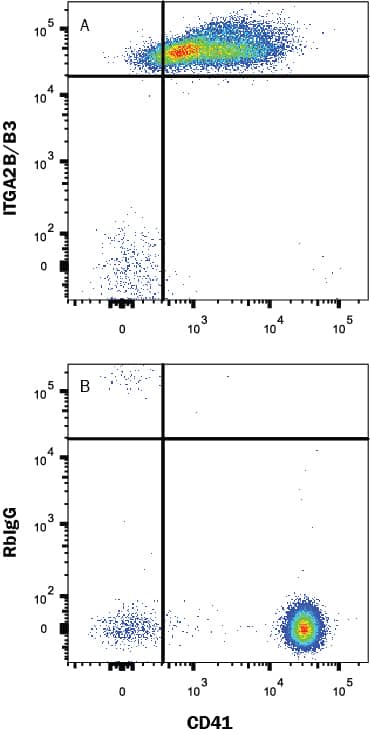 Human peripheral blood platelets were stained with (A) Rabbit Anti-Human Integrin a2b beta 3 Monoclonal Antibody (Catalog # MAB76161) or (B) Rabbit IgG isotype control antibody (Catalog # MAB1050) followed by Anti-Rabbit IgG APC-conjugated Secondary Antibody (Catalog # F0111) and Mouse anti-Human CD41 PE-conjugated Monoclonal Antibody (Catalog # FAB7616P). View our protocol for Staining Membrane-associated Proteins.