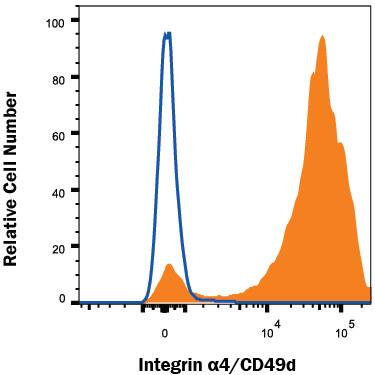 Human peripheral blood lymphocytes were stained with Mouse Anti-Human Integrin a4/CD49d PE-conjugated Monoclonal Antibody (Catalog # FAB1354P, filled histogram) or isotype control antibody (Catalog # IC002P, open histogram). View our protocol for Staining Membrane-associated Proteins.