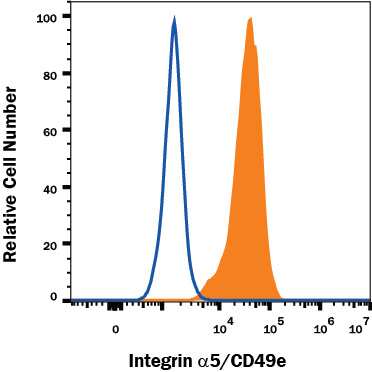 K562 human chronic myelogenous leukemia cell line was stained with Mouse Anti-Human Integrin a5/CD49e Alexa Fluor® 488-conjugated Monoclonal Antibody (Catalog # FAB1864G, filled histogram) or isotype control antibody (Catalog # IC002G, open histogram). View our protocol for Staining Membrane-associated Proteins.