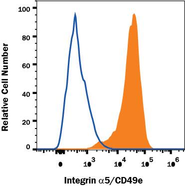 K562 human chronic myelogenous leukemia cell line was stained with Mouse Anti-Human Integrin a5/CD49e PE-conjugated Monoclonal Antibody (Catalog # FAB1864P, filled histogram) or isotype control antibody (Catalog # IC002P, open histogram). View our protocol for Staining Membrane-associated Proteins.