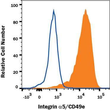 K562 human chronic myelogenous leukemia cell line was stained with Mouse Anti-Human Integrin alpha 5/CD49e Alexa Fluor® 647-conjugated Monoclonal Antibody (Catalog # FAB1864R, filled histogram) or isotype control antibody (Catalog # IC002R, open histogram). View our protocol for Staining Membrane-associated Proteins.