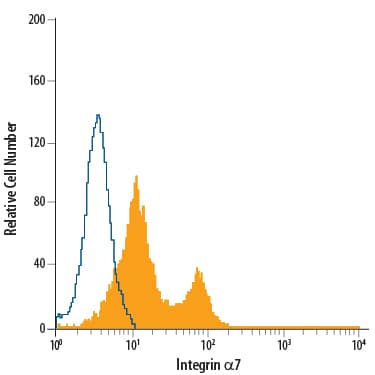 C2C12 mouse myoblast cell line was stained with Rat Anti-Mouse Integrin a7 PerCP-conjugated Monoclonal Antibody (Catalog # FAB3518C, filled histogram) or isotype control antibody (Catalog # IC013C, open histogram). View our protocol for Staining Membrane-associated Proteins.