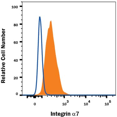 C2C12 mouse myoblast cell line was stained with Rat Anti-Mouse Integrin a7 Fluorescein-conjugated Monoclonal Antibody (Catalog # FAB3518F, filled histogram) or isotype control antibody (Catalog # IC013F, open histogram). View our protocol for Staining Membrane-associated Proteins.