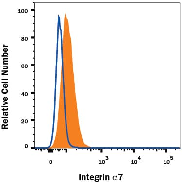 C2C12 mouse myoblast cell line was stained with Rat Anti-Mouse Integrin a7 PE-conjugated Monoclonal Antibody (Catalog # FAB3518P, filled histogram) or isotype control antibody (Catalog # IC013P, open histogram). View our protocol for Staining Membrane-associated Proteins.