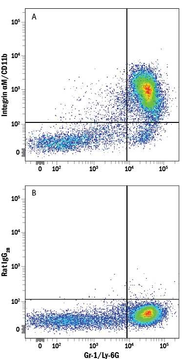 Mouse bone marrow cells were stained with Rat Anti-Mouse Gr-1/Ly-6G PE-conjugated Monoclonal Antibody (Catalog # FAB1037P) and either (A) Rat Anti-Mouse Integrin aM/CD11b Alexa Fluor® 647-conjugated Monoclonal Antibody (Catalog # FAB1124R) or (B) Rat IgG2BAlexa Fluor 647 Isotype Control (Catalog # IC013R). View our protocol for Staining Membrane-associated Proteins.