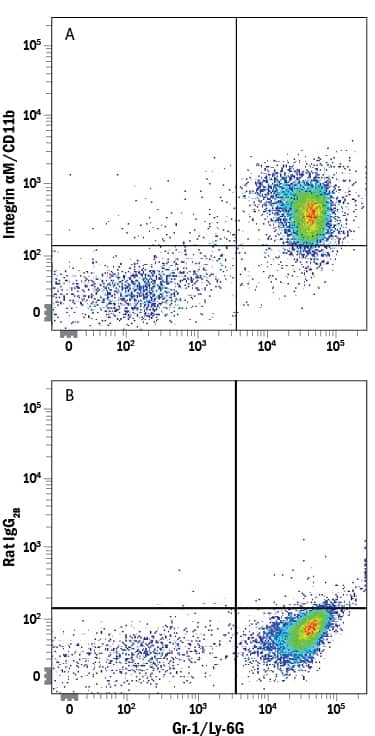 Mouse bone marrow cells were stained with Rat Anti-Mouse Gr-1/Ly-6G APC-conjugated Monoclonal Antibody (Catalog # FAB1037A) and either (A) Rat Anti-Mouse Integrin aM/CD11b Alexa Fluor® 594-conjugated Monoclonal Antibody (Catalog # FAB1124T) or (B) Rat IgG2BAlexa Fluor 594 Isotype Control (Catalog # IC013T). View our protocol for Staining Membrane-associated Proteins.