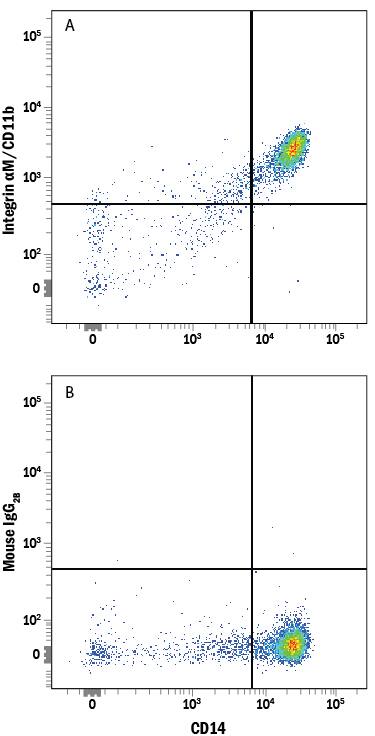 Human peripheral blood mononuclear cells (PBMCs) were stained with Mouse Anti-Human CD14 PE-conjugated Monoclonal Antibody (Catalog # FAB3832P) and either (A) Mouse Anti-Human Integrin aM/CD11b Alexa Fluor® 700-conjugated Monoclonal Antibody (Catalog # FAB16991N) or (B) Mouse IgG2BAlexa Fluor 700 Isotype Control (Catalog # IC0041N). View our protocol for Staining Membrane-associated Proteins.