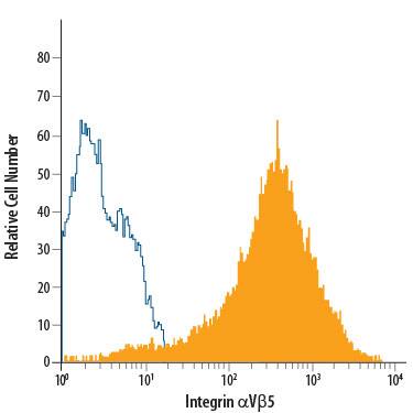MCF-7 human breast cancer cell line was stained with Mouse Anti-Human Integrin aV beta 5 PE-conjugated Monoclonal Antibody (Catalog # FAB2528P, filled histogram) or isotype control antibody (Catalog # IC002P, open histogram). View our protocol for Staining Membrane-associated Proteins.