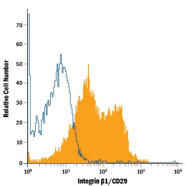 Human peripheral blood lymphocytes were stained with Mouse Anti-Human Integrin  beta 1/CD29 PE-conjugated Monoclonal Antibody (Catalog # FAB17783P, filled histogram) or isotype control antibody (Catalog # IC0041P, open histogram). View our protocol for Staining Membrane-associated Proteins.