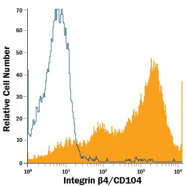 A431 human epithelial carcinoma cell line was stained with Mouse Anti-Human Integrin  beta 4/CD104 APC-conjugated Monoclonal Antibody (Catalog # FAB4060A, filled histogram) or isotype control antibody (Catalog # IC0041A, open histogram). View our protocol for Staining Membrane-associated Proteins.