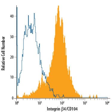 A431 human epithelial carcinoma cell line was stained with Mouse Anti-Human Integrin  beta 4/CD104 Alexa Fluor® 488-conjugated Monoclonal Antibody (Catalog # FAB4060G, filled histogram) or isotype control antibody (Catalog # IC0041G, open histogram). View our protocol for Staining Membrane-associated Proteins.