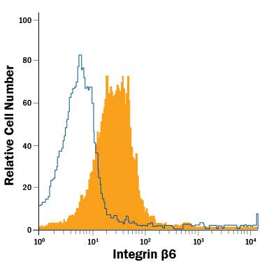 HT-29 human colon adenocarcinoma cell line was stained with Mouse Anti-Human Integrin  beta 6 APC-conjugated Monoclonal Antibody (Catalog # FAB4155A, filled histogram) or isotype control antibody (Catalog # IC0041A, open histogram). View our protocol for Staining Membrane-associated Proteins.