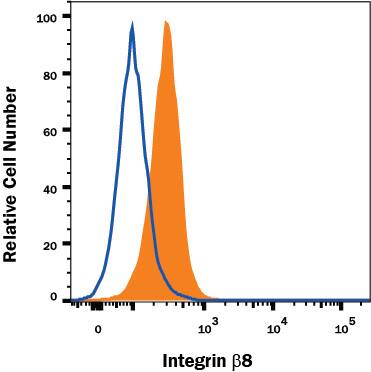 WM-115 human melanoma cell line was stained with Mouse Anti-Human Integrin  beta 8 APC-conjugated Monoclonal Antibody (Catalog # FAB4775A, filled histogram) or isotype control antibody (Catalog # IC0041A, open histogram). View our protocol for Staining Membrane-associated Proteins.