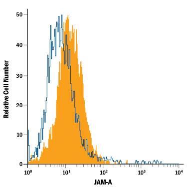 MCF-7 human breast cancer cell line was stained with Mouse Anti-Human JAM-A Alexa Fluor® 488-conjugated Monoclonal Antibody (Catalog # FAB1103G, filled histogram) or isotype control antibody (Catalog # IC002G, open histogram). View our protocol for Staining Membrane-associated Proteins.