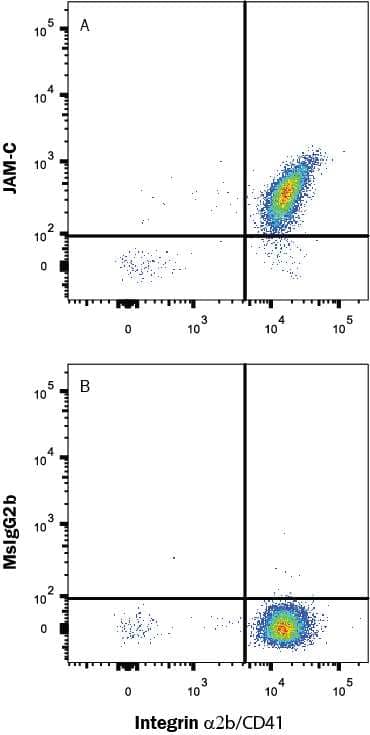 Human platelets were stained with anti-human CD41 FITC-conjugated antibody and either (A) Mouse Anti-Human JAM-C Monoclonal Antibody (Catalog # MAB11891) or (B) Mouse IgG2B Isotype Control (Catalog # MAB0041) followed by APC-conjugated Goat anti-Mouse IgG Secondary Antibody (Catalog # F0101B). View our protocol for Staining Membrane-associated Proteins.