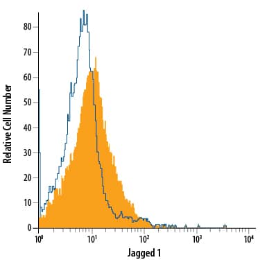 bEnd.3 mouse endothelioma cell line was stained with Mouse Anti-Human/Mouse/Rat Jagged 1 APC-conjugated Monoclonal Antibody (Catalog # FAB1277A, filled histogram) or isotype control antibody (Catalog # IC0041A, open histogram). View our protocol for Staining Membrane-associated Proteins.