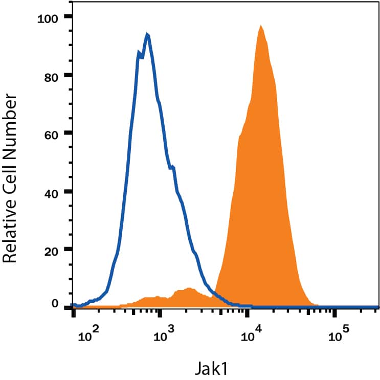 Jurkat human acute T cell leukemia cell line was stained with Rat Anti-Human/Mouse/Rat Jak1 Monoclonal Antibody (Catalog # IC4260G, filled histogram) or isotype control antibody (Catalog # IC013G, open histogram). To facilitate intracellular staining, cells were fixed and permeabilized with FlowX FoxP3 Fixation & Permeabilization Buffer Kit (Catalog # FC012). View our protocol for Staining Intracellular Molecules.