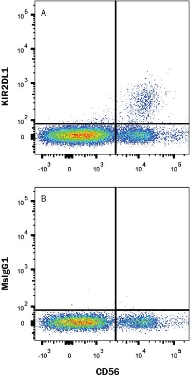 Human peripheral blood lymphocytes were stained with (A) Mouse Anti-Human KIR2DL1/KIR2DS5 Fluorescein-conjugated Monoclonal Antibody (Catalog # FAB1844F) or (B) Mouse IgG1 Isotype Control Antibody (Catalog # IC002F) and Mouse Anti-Human NCAM-1/CD56 PE-conjugated Monoclonal Antibody (Catalog # FAB2408P). View our protocol for Staining Membrane-associated Proteins.