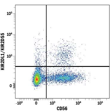 Human peripheral blood mononuclear cells (PBMCs) were stained with Mouse Anti-Human KIR2DL1/KIR2DS5 Alexa Fluor® 488-conjugated Monoclonal Antibody (Catalog # FAB1844G) and Mouse Anti-Human NCAM-1/CD56 PE-conjugated Monoclonal Antibody (Catalog # FAB2408P). Quadrant markers were set based on control antibody staining (Catalog # IC002G). View our protocol for Staining Membrane-associated Proteins.