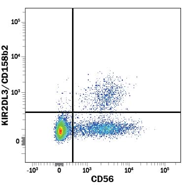 Human peripheral blood mononuclear cells (PBMCs) were stained with Mouse Anti-Human KIR2DL3/CD158b2 Fluorescein-conjugated Monoclonal Antibody (Catalog # FAB2014F) and Mouse Anti-Human NCAM-1/CD56 PE-conjugated Monoclonal Antibody (Catalog # FAB2408P). View our protocol for Staining Membrane-associated Proteins.