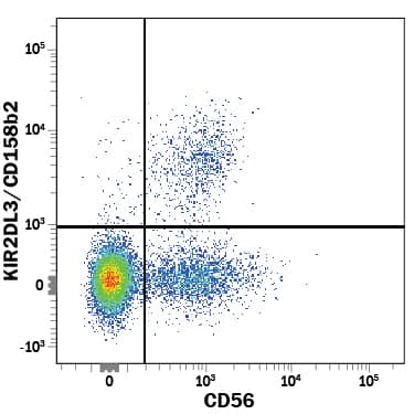 Human peripheral blood mononuclear cells (PBMCs) were stained with Mouse Anti-Human KIR2DL3/CD158b2 PE-conjugated Monoclonal Antibody (Catalog # FAB2014P) and Mouse Anti-Human NCAM-1/CD56 APC-conjugated Monoclonal Antibody (Catalog # FAB2408A). View our protocol for Staining Membrane-associated Proteins.