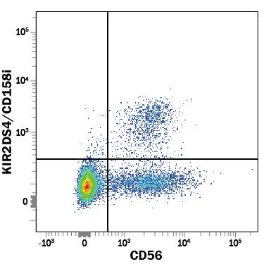 Human peripheral blood mononuclear cells (PBMCs) were stained with Mouse Anti-Human KIR2DS4/CD158i Alexa Fluor® 488-conjugated Monoclonal Antibody (Catalog # FAB1847G) and Mouse Anti-Human NCAM-1/CD56 PE-conjugated Monoclonal Antibody (Catalog # FAB2408P). Quadrant markers were set based on control antibody staining (Catalog # IC003G). View our protocol for Staining Membrane-associated Proteins.