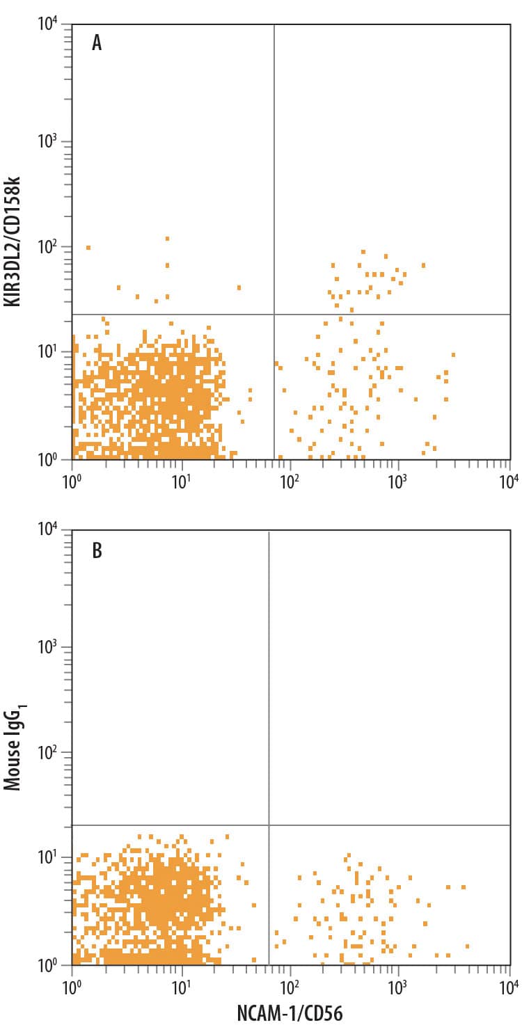 Human peripheral blood lymphocytes were stained with Mouse Anti-Human NCAM-1/CD56 PE-conjugated Monoclonal Antibody (Catalog # FAB2408P) and either (A) Mouse Anti-Human KIR3DL2/CD158k APC-conjugated Monoclonal Antibody (Catalog # FAB2878A) or (B) Mouse IgG1Allophycocyanin Isotype Control (Catalog # IC002A). View our protocol for Staining Membrane-associated Proteins.