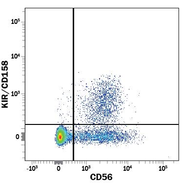 Human peripheral blood mononuclear cells (PBMCs) were stained with Mouse Anti-Human KIR/CD158 APC-conjugated Monoclonal Antibody (Catalog # FAB1848A) and Mouse Anti-Human NCAM-1/CD56 PE-conjugated Monoclonal Antibody (Catalog # FAB2408P). View our protocol for Staining Membrane-associated Proteins.