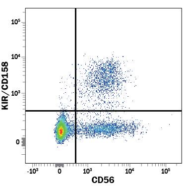 Human peripheral blood mononuclear cells (PBMCs) were stained with Mouse Anti-Human KIR/CD158 Fluorescein-conjugated Monoclonal Antibody (Catalog # FAB1848F) and Mouse Anti-Human NCAM-1/CD56 PE-conjugated Monoclonal Antibody (Catalog # FAB2408P). View our protocol for Staining Membrane-associated Proteins.