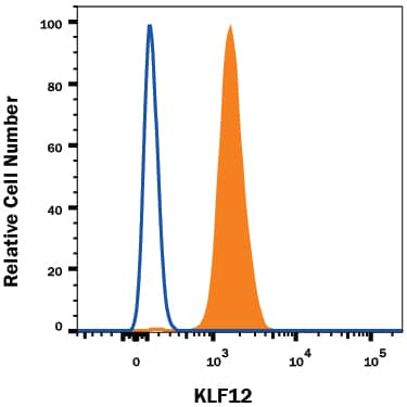 MG-63 human osteosarcoma cell line was stained with Rabbit Anti-Human KLF12 Alexa Fluor® 647-conjugated Monoclonal Antibody (Catalog # IC9097R, filled histogram) or isotype control antibody (IC1051R, open histogram). To facilitate intracellular staining, cells were fixed and permeabilized with FlowX FoxP3 Fixation & Permeabilization Buffer Kit (FC012). View our protocol for Staining Intracellular Molecules.
