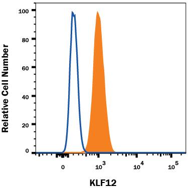 MG-63 human osteosarcoma cell line was stained with Rabbit Anti-Human KLF12 Alexa Fluor® 594-conjugated Monoclonal Antibody (Catalog # IC9097T, filled histogram) or isotype control antibody (IC1051T, open histogram). To facilitate intracellular staining, cells were fixed and permeabilized with FlowX FoxP3 Fixation & Permeabilization Buffer Kit (FC012). View our protocol for Staining Intracellular Molecules.