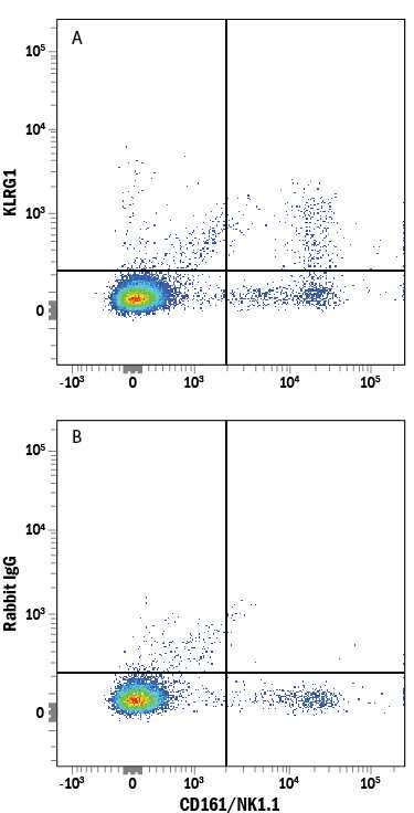 Mouse splenocytes were stained with Mouse Anti-Mouse CD161/NK1.1 APC-conjugated Monoclonal Antibody (Catalog # FAB8319A) and either (A) Rabbit Anti-Mouse KLRG1 Alexa Fluor® 488-conjugated Monoclonal Antibody (Catalog # FAB6944G) or (B) Normal Rabbit IgG Alexa Fluor 488 Control (Catalog # IC105G). View our protocol for Staining Membrane-associated Proteins.