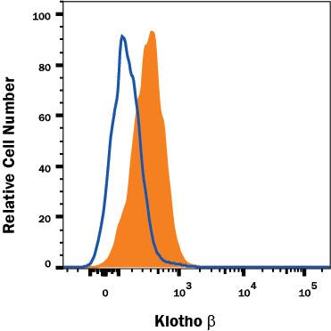 HepG2 human hepatocellular carcinoma cell line was stained with Rabbit Anti-Human Klotho beta Alexa Fluor® 647-conjugated Monoclonal Antibody (Catalog # FAB58891R, filled histogram) or isotype control antibody (Catalog # IC1051R, open histogram). View our protocol for Staining Membrane-associated Proteins.