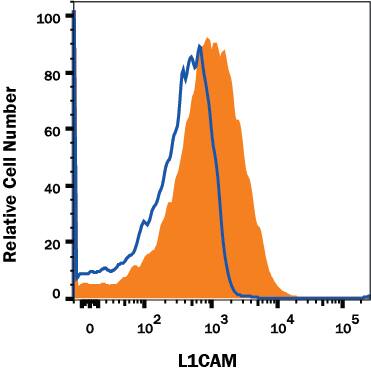 Mouse splenocytes were stained with Rat Anti-Mouse L1CAM PE-conjugated Monoclonal Antibody (Catalog # FAB5674P, filled histogram) or isotype control antibody (IC006P, open histogram). View our protocol for Staining Membrane-associated Proteins.