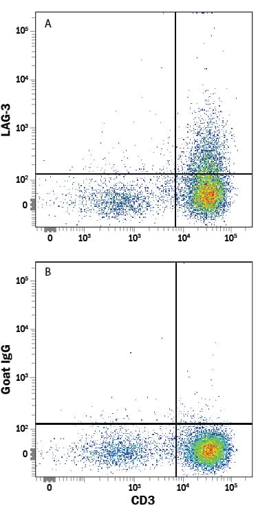 Human peripheral blood mononuclear cells (PBMCs) treated with 1 µg/mL PHA for 5 days were stained with Mouse Anti-Human CD3e PE-conjugated Monoclonal Antibody (Catalog # FAB100P) and either (A) Goat Anti-Human LAG-3 APC-conjugated Antigen Affinity-purified Polyclonal Antibody (Catalog # FAB2319A) or (B) Normal Goat IgG Allophycocyanin Control (Catalog # IC108A). View our protocol for Staining Membrane-associated Proteins.