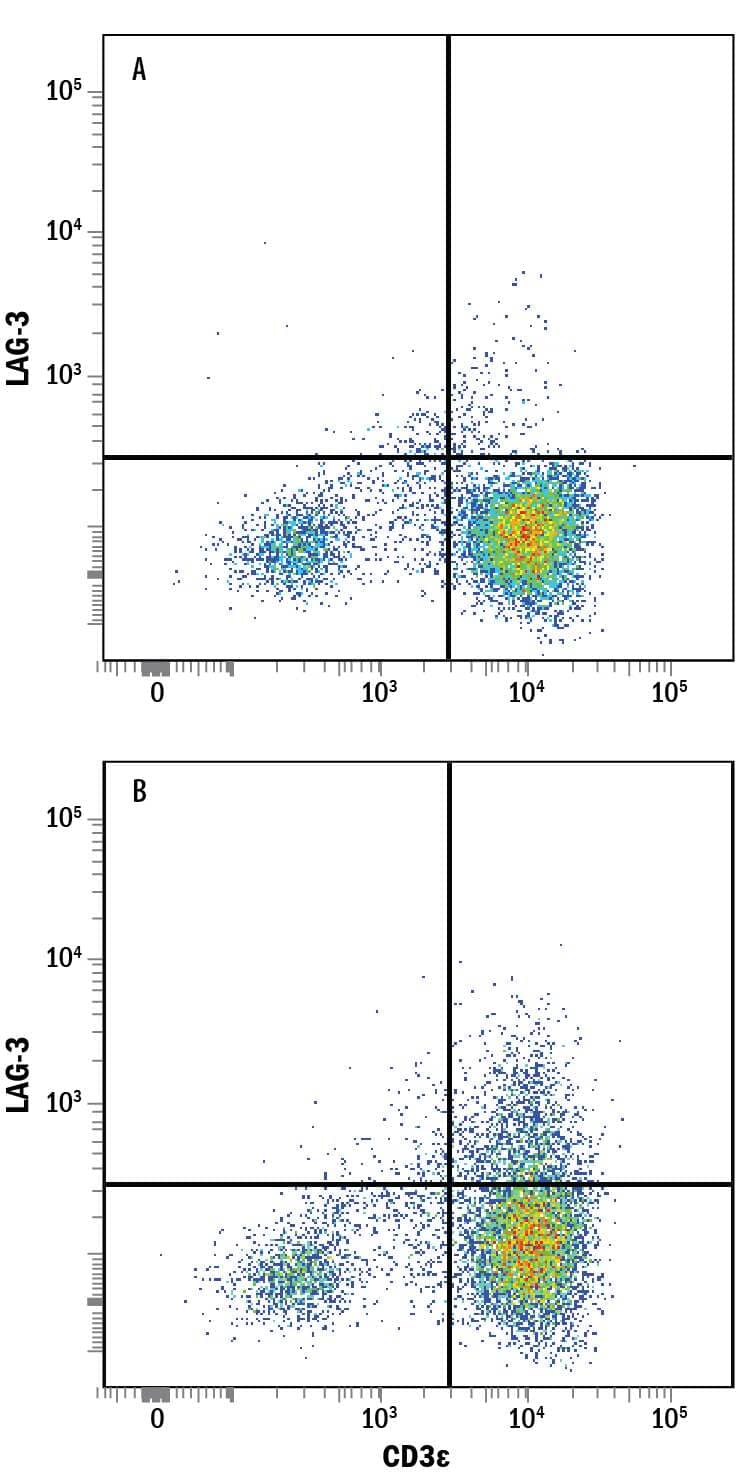 CD3+human peripheral blood mononuclear cells (PBMCs) were either (A) untreated or (B) treated with 1 µg/mL PHA for 5 days were stained with Goat Anti-Human LAG-3 PerCP-conjugated Antigen Affinity-purified Polyclonal Antibody (Catalog # FAB2319C) and Mouse Anti-Human CD3e Fluorescein-conjugated Monoclonal Antibody (Catalog # FAB100F). Quadrant markers were set based on control antibody staining (Catalog # IC108C). View our protocol for Staining Membrane-associated Proteins.