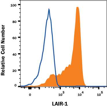 Human lymphocytes were stained with Mouse Anti-Human LAIR1 Alexa Fluor® 488-conjugated Monoclonal Antibody (Catalog # FAB2664G, filled histogram) or isotype control antibody (Catalog # IC0041G, open histogram). View our protocol for Staining Membrane-associated Proteins.