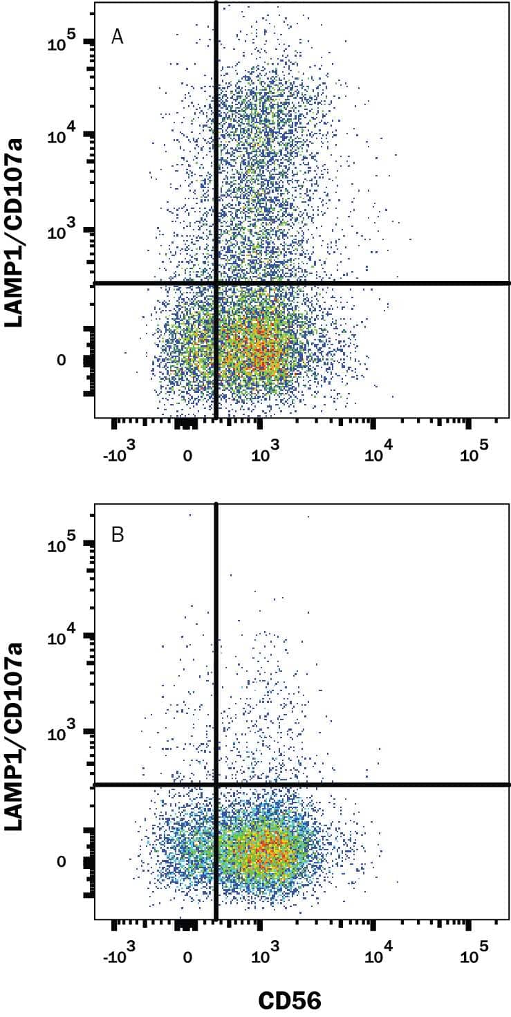 Human NK Cells either (A) stimulated in a 1:1 ratio with K562 human chronic myelogenous leukemia cell line and 3 µM monensin for 5 hours or (B) unstimulated were stained with Mouse Anti-Human LAMP-1/CD107a APC-conjugated Monoclonal Antibody (Catalog # IC4800A) and Mouse Anti-Human NCAM-1/CD56 PE-conjugated Monoclonal Antibody (Catalog # FAB2408P). Quadrant markers were set based on control antibody staining (Catalog # IC0041A). View our protocol for Staining Membrane-associated Proteins.