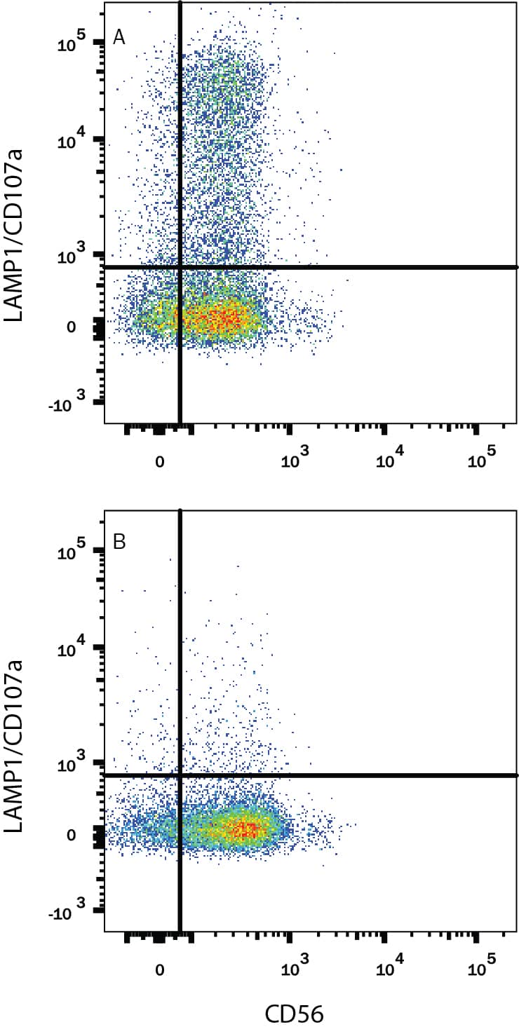   Enriched human NK cells either (A) treated with  1:1 ratio with K562 cell line and 3 uM monensin for 5 hours or (B) untreated were stained with Mouse Anti-Human LAMP‑1/CD107a PE‑conjugated Monoclonal Antibody (Catalog # IC4800P) and Mouse Anti-Human NCAM‑1/CD56 APC‑conjugated Monoclonal Antibody (Catalog # FAB2408A). Quadrant markers were set based on control antibody staining (Catalog # IC0041P). To facilitate intracellular staining, cells were fixed with Flow Cytometry  Fixation Buffer (Catalog # FC004) and permeabilized with Flow Cytometry Permeabilization/Wash Buffer I (Catalog # FC005). View our protocol for Staining Intracellular Molecules.