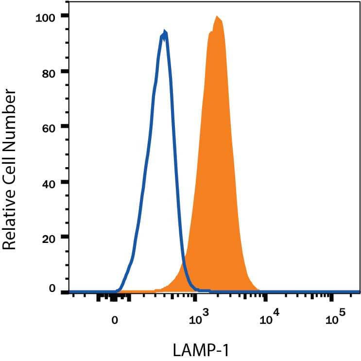 THP-1 human acute monocytic leukemia cell line was stained with Mouse Anti-Human LAMP-1/CD107a Alexa Fluor® 594-conjugated Monoclonal Antibody (Catalog # IC4800T, filled histogram) or isotype control antibody (Catalog # IC0041T, open histogram). To facilitate intracellular staining, cells were fixed with Flow Cytometry Fixation Buffer (Catalog # FC004) and permeabilized with Flow Cytometry Permeabilization/Wash Buffer I (Catalog # FC005). View our protocol for Staining Intracellular Molecules.