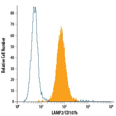 HeLa human cervical epithelial carcinoma cell line was stained with Mouse Anti-Human LAMP2/CD107b Alexa Fluor® 488-conjugated Monoclonal Antibody (Catalog # IC6228G, filled histogram) or isotype control antibody (Catalog # IC002G, open histogram). To facilitate intracellular staining, cells were fixed with Flow Cytometry Fixation Buffer (Catalog # FC004) and permeabilized with Flow Cytometry Permeabilization/Wash Buffer I (Catalog # FC005). View our protocol for Staining Intracellular Molecules.