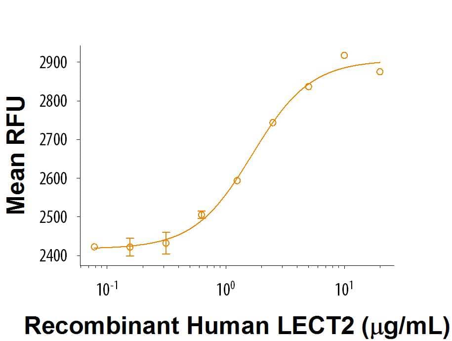 Recombinant Human LECT2 (Catalog # 9908-LC) induces MC3T3-E1mouse preosteoblast cell proliferation. The ED50 for this effect is 0.8-4.8 μg/mL.