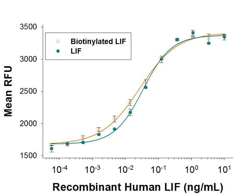 Both Recombinant Biotinylated Human LIF (Catalog # BT7734/CF) and unlabeled Recombinant Human LIF     (Catalog #  7734-LF)  induceTF-1 human erythroleukemic cell proliferation. The ED50 for this effect is 0.02-0.12 ng/mL. The similarity in activity highlights that the biotinylated protein is fully functional.