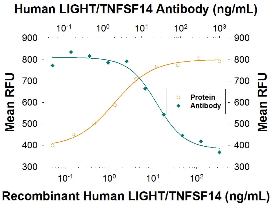 Recombinant Human LIGHT/TNFSF14 (Catalog # 664-LI) induces proliferation in the HUVEC human umbilical vein endothelial cells in a dose-dependent manner (orange line), as measured by Resazurin (Catalog # AR002). Proliferation elicited by Recombinant Human LIGHT/TNFSF14 (20 ng/mL) is neutralized (green line) by increasing concentrations of Rabbit Anti-Human LIGHT/TNFSF14 Monoclonal Antibody (Catalog # MAB6643). The ND50 is typically 6-48 ng/mL.