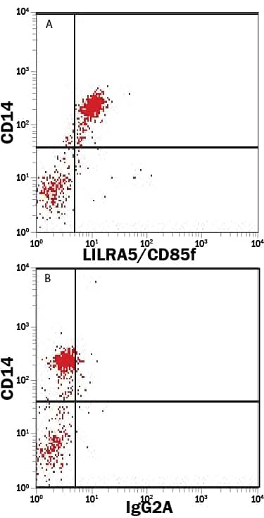 Whole blood monocytes were stained with Mouse Anti-Human CD14 PerCP-conjugated Monoclonal Antibody (Catalog # FAB3832C) and either (A) Mouse Anti-Human LILRA5/CD85f Alexa Fluor® 488-conjugated Monoclonal Antibody (Catalog # FAB6754G) or (B) Mouse IgG2AAlexa Fluor 488 Isotype Control (Catalog # IC003G). View our protocol for Staining Membrane-associated Proteins.