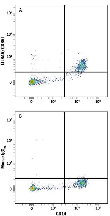 Human peripheral blood mononuclear cells (PBMCs) gated on monocytes were stained with Mouse Anti-Human CD14 PE-conjugated Monoclonal Antibody (Catalog # FAB3832P) and either (A) Mouse Anti-Human LILRA5/CD85f Alexa Fluor® 700-conjugated Monoclonal Antibody (Catalog # FAB6754N) or (B) Mouse IgG2AAlexa Fluor 700 Isotype Control (Catalog # IC003N). View our protocol for Staining Membrane-associated Proteins.