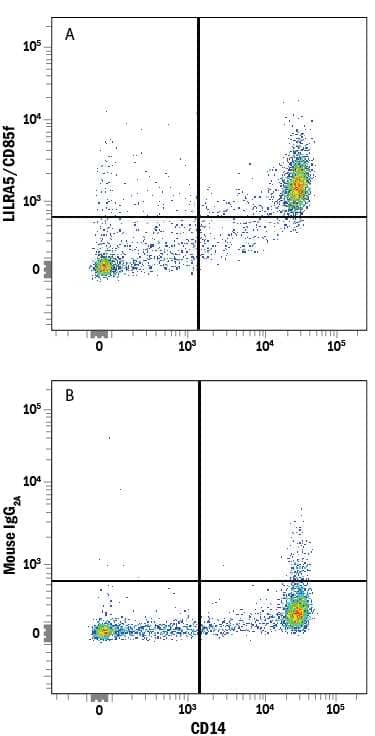Human peripheral blood mononuclear cells (PBMCs) gated on monocytes were stained with Mouse Anti-Human CD14 PE-conjugated Monoclonal Antibody (Catalog # FAB3832P) and either (A) Mouse Anti-Human LILRA5/CD85f Alexa Fluor® 647-conjugated Monoclonal Antibody (Catalog # FAB6754R) or (B) Mouse IgG2AAlexa Fluor 647 Isotype Control (Catalog # IC003R). View our protocol for Staining Membrane-associated Proteins.